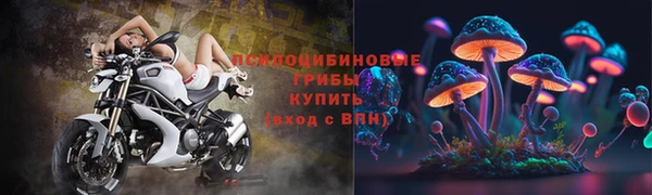 прущая мука Дмитриев