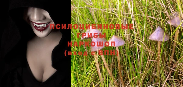 прущая мука Дмитриев