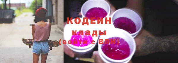 мдпв Дмитровск