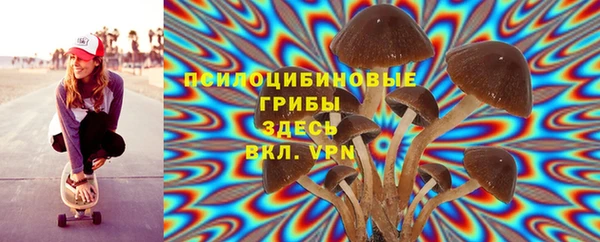 соль курить ск Дмитров