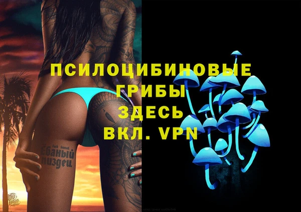 прущая мука Дмитриев