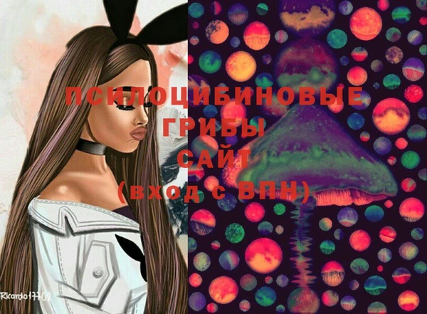 прущая мука Дмитриев