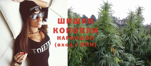 прущая мука Дмитриев