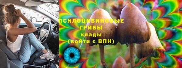 прущая мука Дмитриев