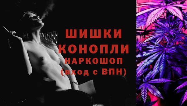мдпв Дмитровск
