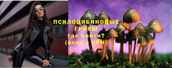прущая мука Дмитриев